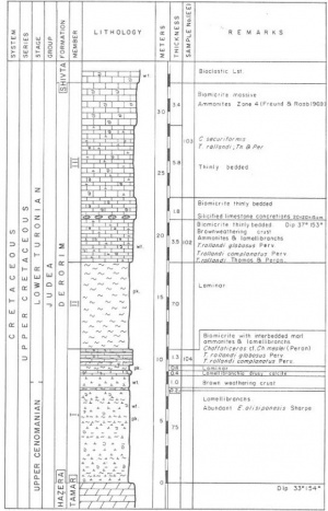 חתך עמודי של תצורת דרורים במכתש הקטן (מתוך: אלרון, 1980, חתך 8, עמוד 12)