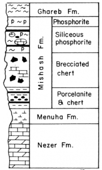 Stratigraphy of Meishash Fornation in Mount Scopus Group formations (schematic and not to scale)